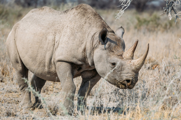 Stunning Namibia Photography That Will Make You Want to Visit